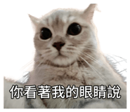 875739725