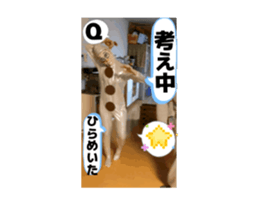 875743232