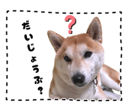 875751396