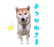 875751401