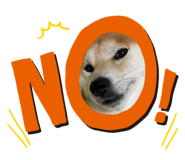 875751411