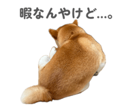 875751412