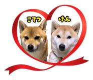 875751416