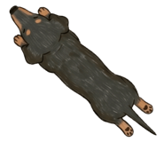 875751878