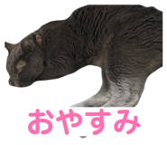 875765914