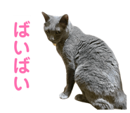 875765916