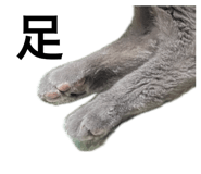 875765920