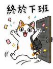 875805250