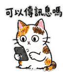 875805611