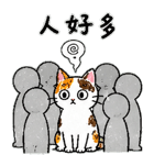 875805612