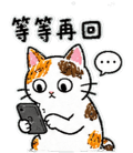 875805615