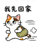 875805619