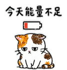 875805620