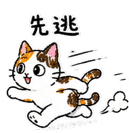 875805643