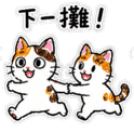 875805798