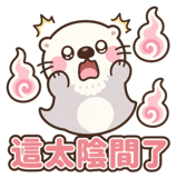 875807014