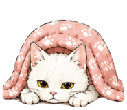 875812840