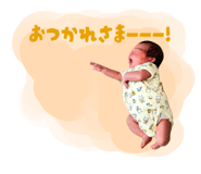 875815466