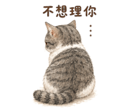 875828478