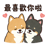 875863607