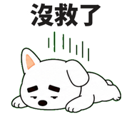875864276