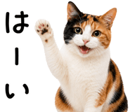 875898441