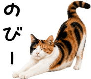 875898466