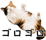 875898468