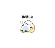 875993754