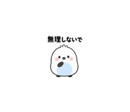 875993755