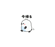875993770