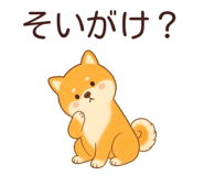 875994113
