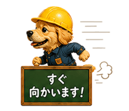875995541