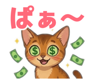 876003538