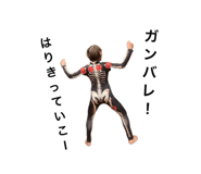 876008518