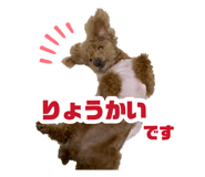 876021077