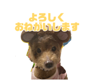 876021086