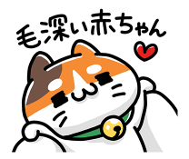 876028251