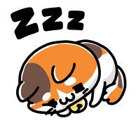 876028434