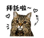 876050501