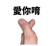 876058961