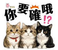 876059356
