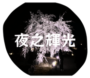 876077251
