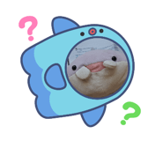 876080276