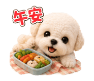 876082237