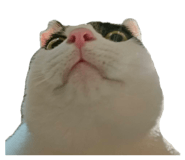 876095231