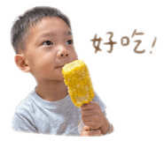876097446