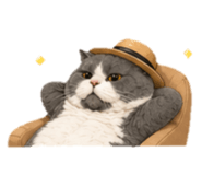876112663