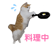 876140371