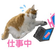 876140385